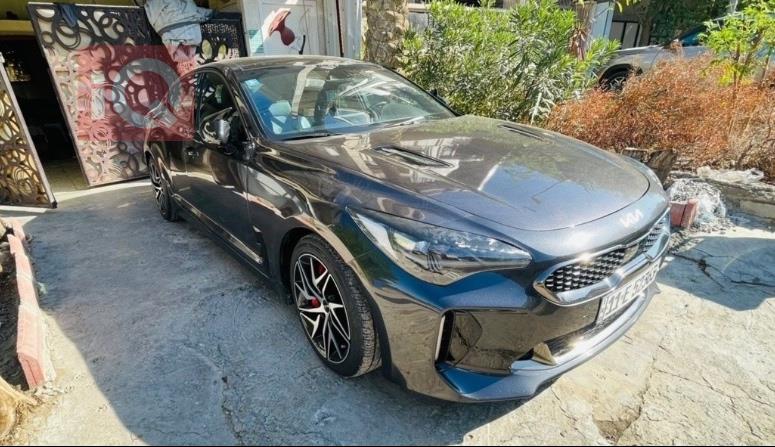 کیا ستینگەر